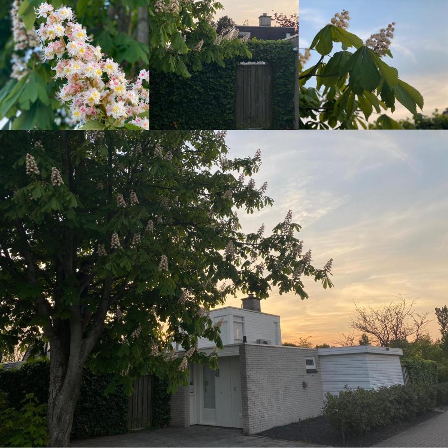 Vakantiebungalow Mee Naar Ouddorp Aan Zee Exteriér fotografie